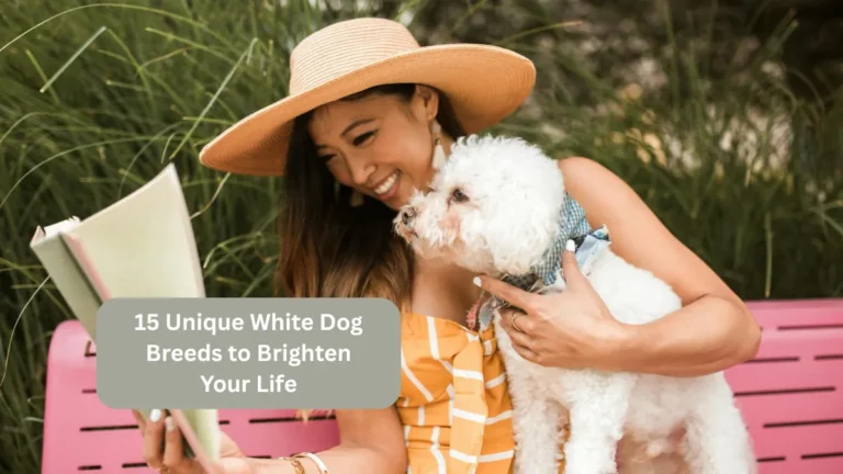 15 Unique White Dog Breeds to Brighten Your Life
